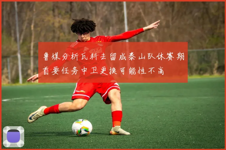 鲁媒分析瓦科去留成泰山队休赛期首要任务中卫更换可能性不高