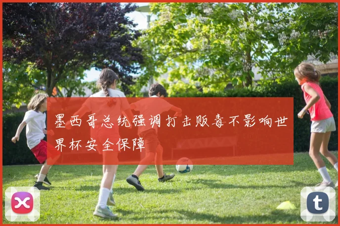 墨西哥总统强调打击贩毒不影响世界杯安全保障