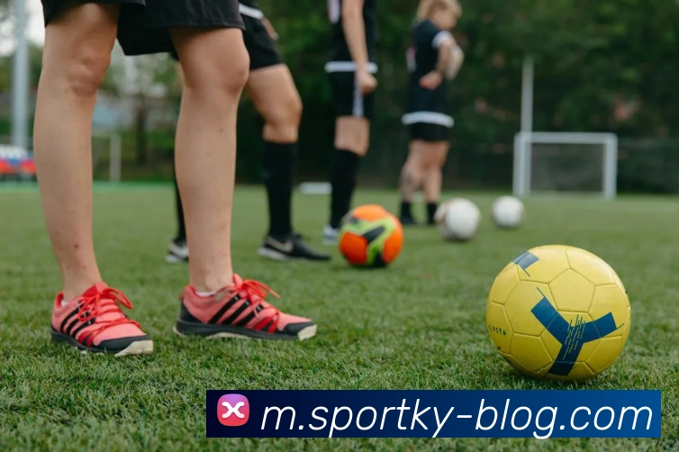 开云体育APP 封面图